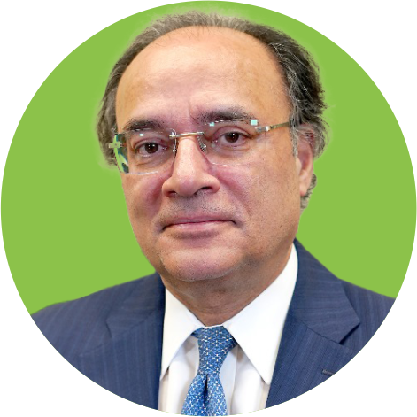 Senator Muhammad Aurangzeb